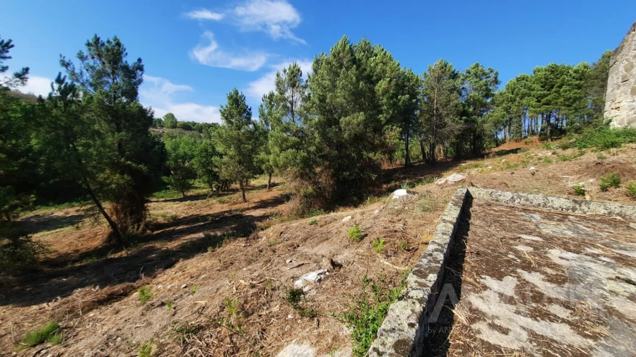 Quinta T0 para Venda em Abrunhosa-A-Velha Foto 14