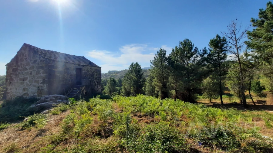Quinta T0 para Venda em Abrunhosa-A-Velha Foto 5