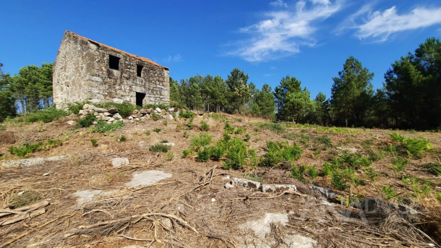 Quinta T0 para Venda em Abrunhosa-A-Velha Foto 18
