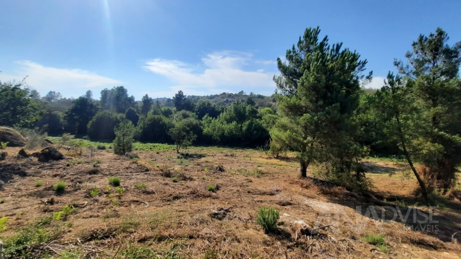 Quinta T0 para Venda em Abrunhosa-A-Velha Foto 12