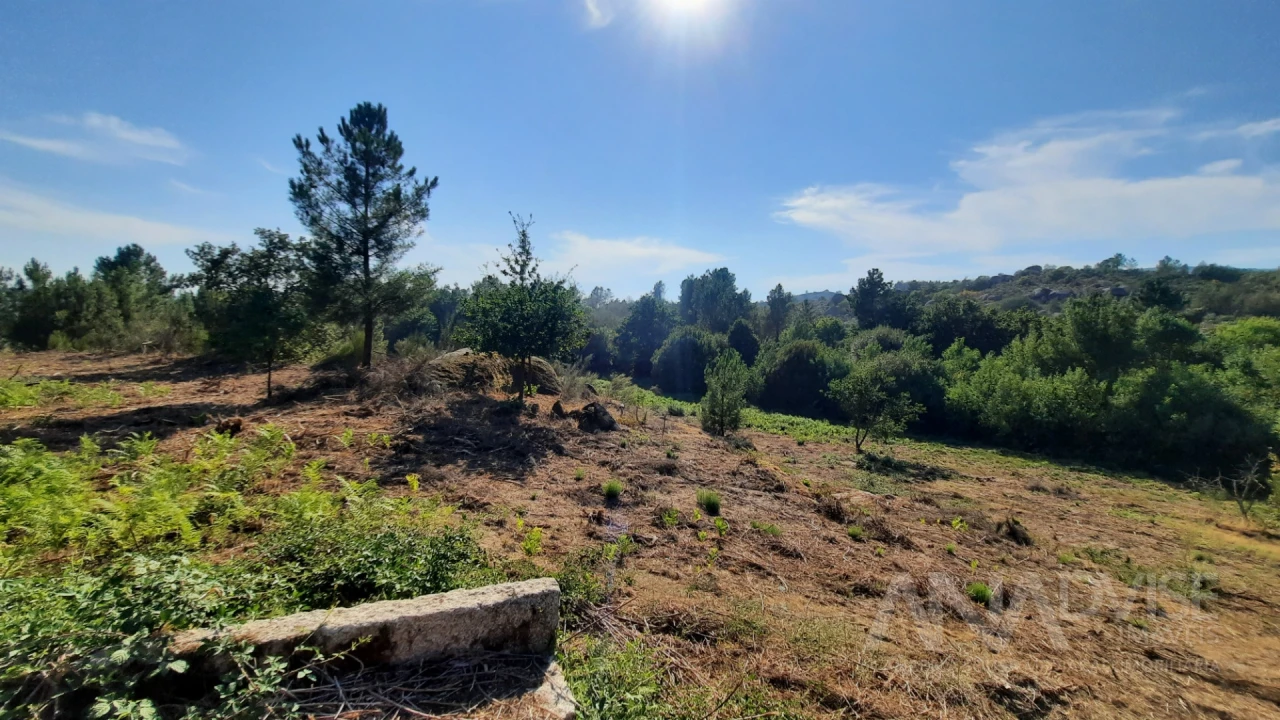 Quinta T0 para Venda em Abrunhosa-A-Velha Foto 11