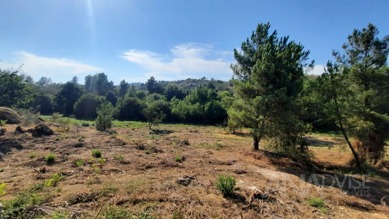 Quinta T0 para Venda em Abrunhosa-A-Velha Foto 12