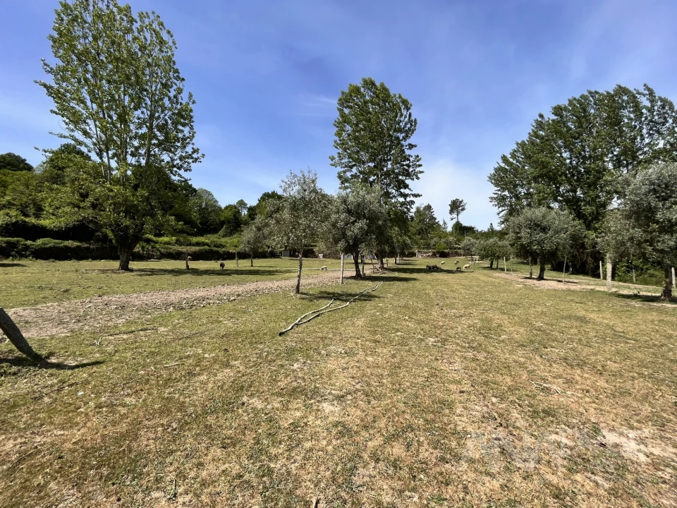 Quinta T0 para Venda em São Miguel do Mato Foto 18