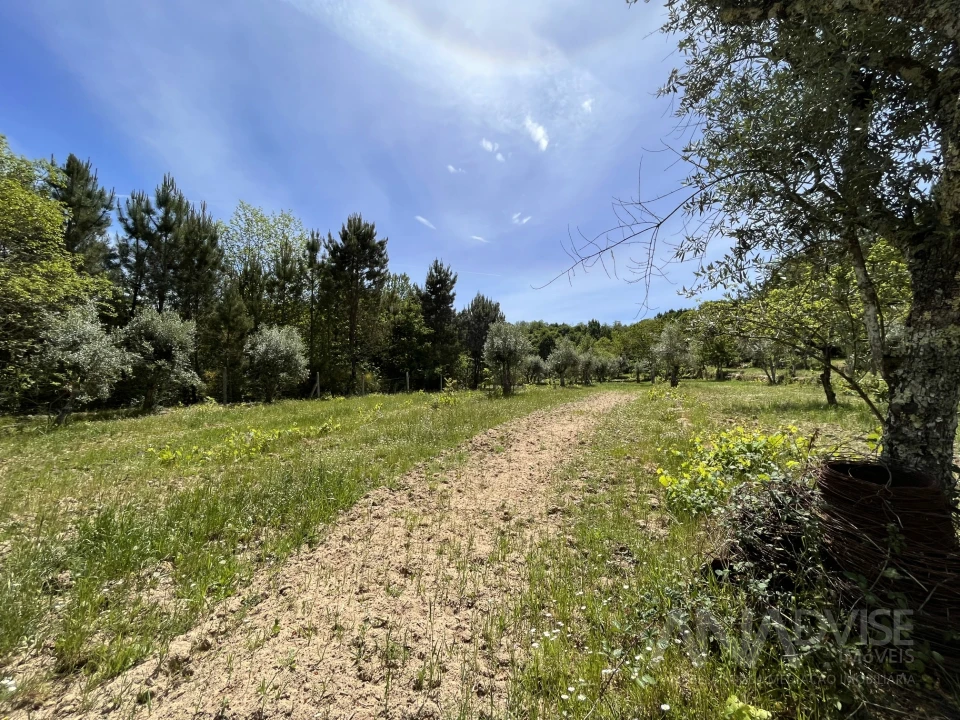 Quinta T0 para Venda em São Miguel do Mato Foto 44