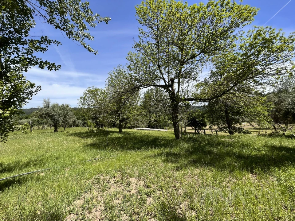 Quinta T0 para Venda em São Miguel do Mato Foto 28