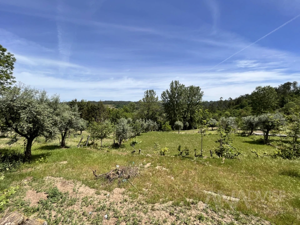 Quinta T0 para Venda em São Miguel do Mato Foto 36