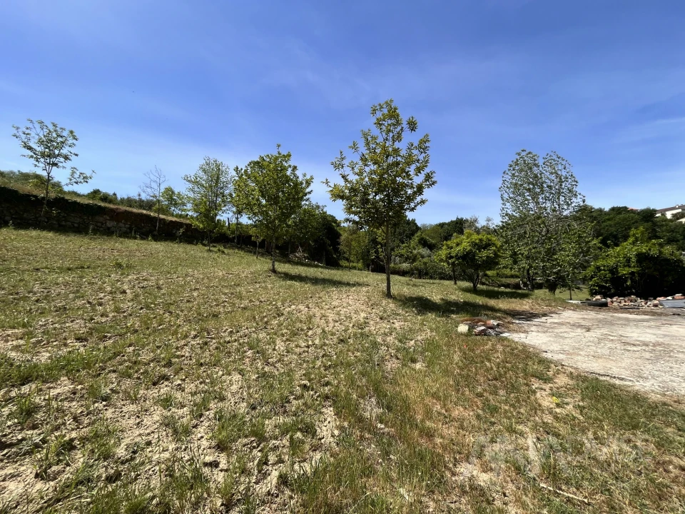 Quinta T0 para Venda em São Miguel do Mato Foto 7