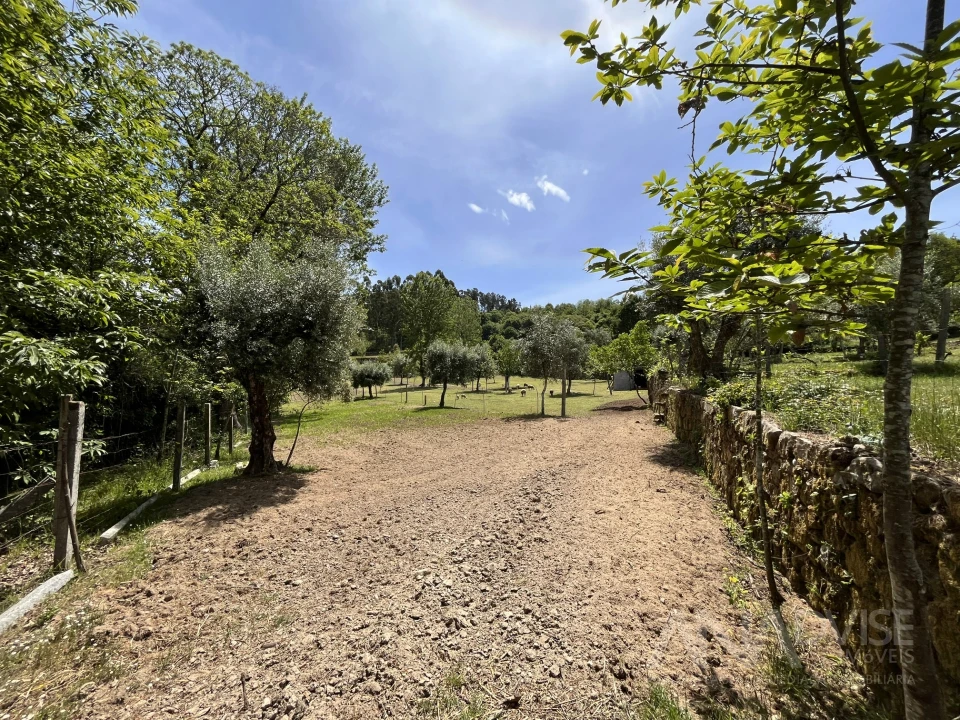 Quinta T0 para Venda em São Miguel do Mato Foto 47