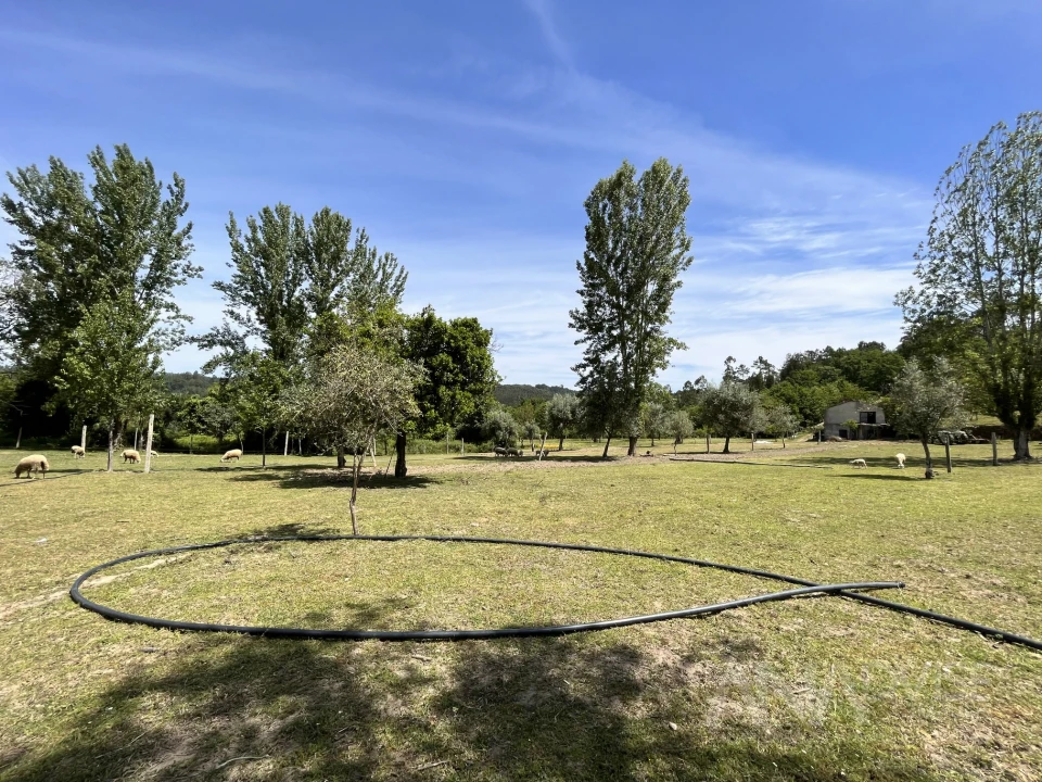 Quinta T0 para Venda em São Miguel do Mato Foto 22