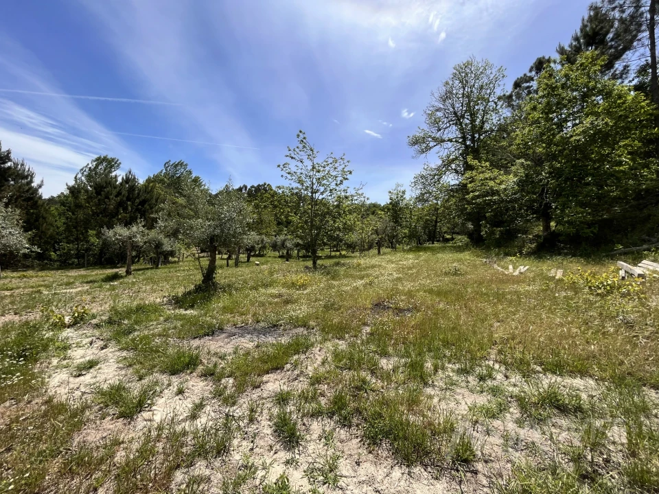 Quinta T0 para Venda em São Miguel do Mato Foto 41