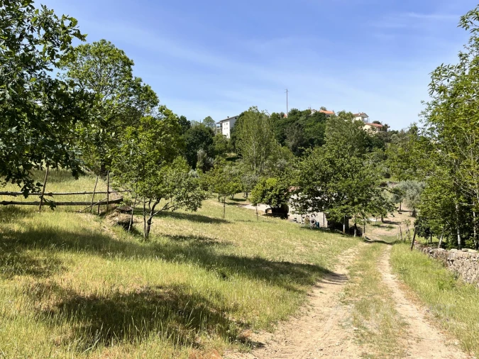Quinta T0 para Venda em São Miguel do Mato Foto 3