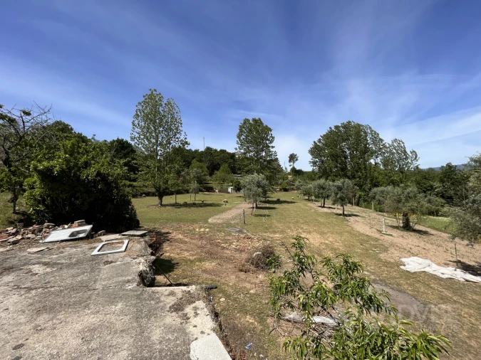 Quinta T0 para Venda em São Miguel do Mato Foto 8