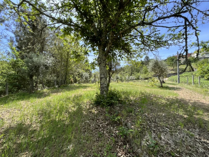 Quinta T0 para Venda em São Miguel do Mato Foto 45