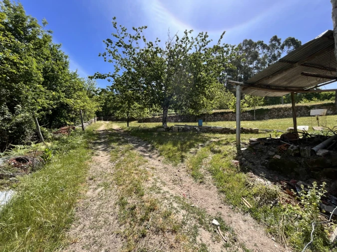 Quinta T0 para Venda em São Miguel do Mato Foto 16