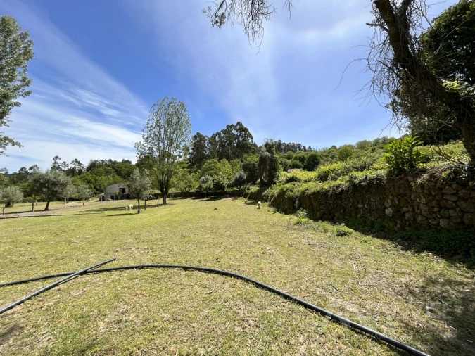 Quinta T0 para Venda em São Miguel do Mato Foto 20