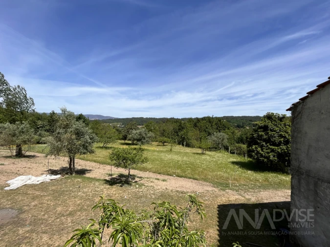 Quinta T0 para Venda em São Miguel do Mato Foto 10