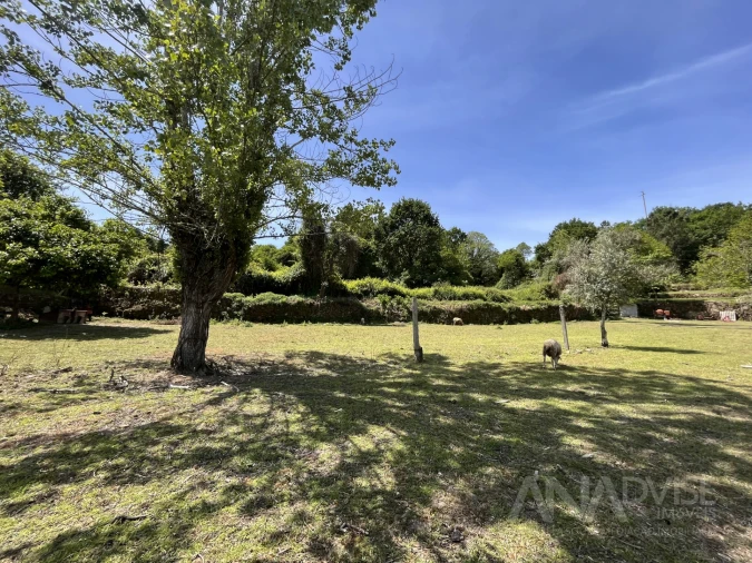 Quinta T0 para Venda em São Miguel do Mato Foto 19