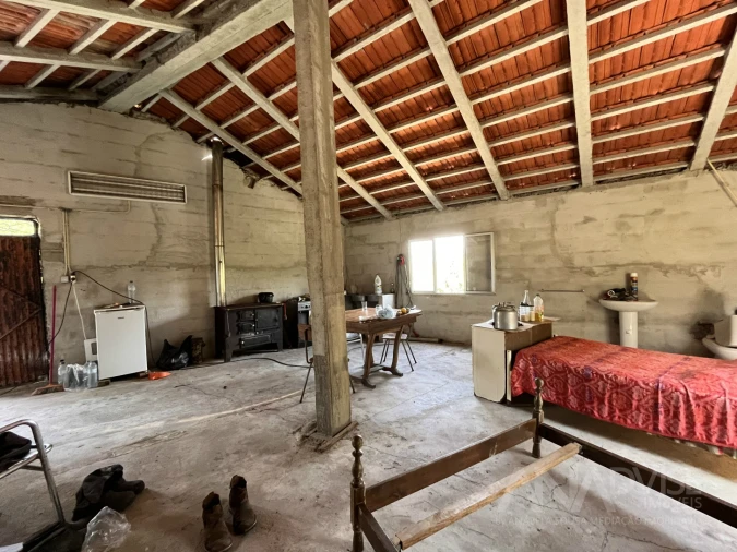 Quinta T0 para Venda em São Miguel do Mato Foto 14