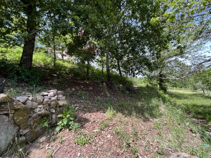 Quinta T0 para Venda em São Miguel do Mato Foto 38