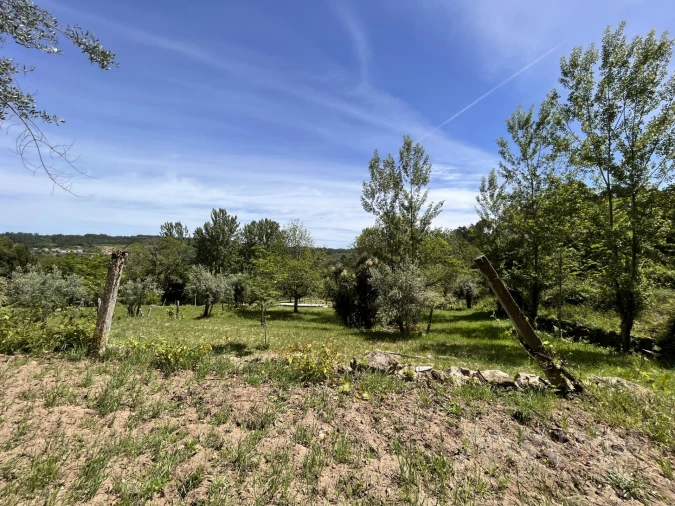 Quinta T0 para Venda em São Miguel do Mato Foto 31