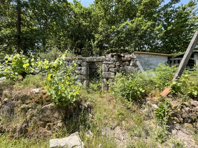 Quinta T0 para Venda em São Miguel do Mato Foto 34