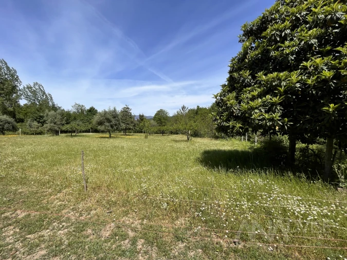 Quinta T0 para Venda em São Miguel do Mato Foto 15
