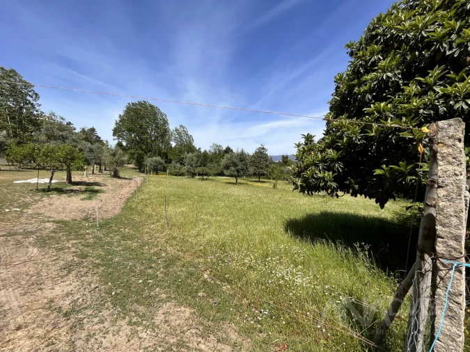 Quinta T0 para Venda em São Miguel do Mato Foto 6