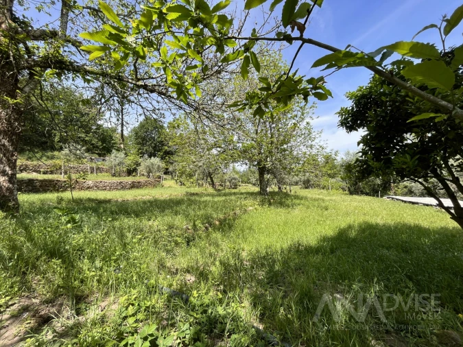 Quinta T0 para Venda em São Miguel do Mato Foto 26