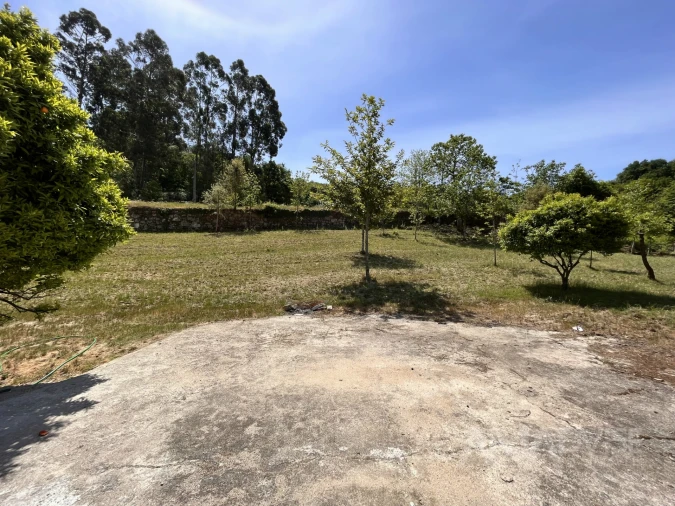 Quinta T0 para Venda em São Miguel do Mato Foto 11