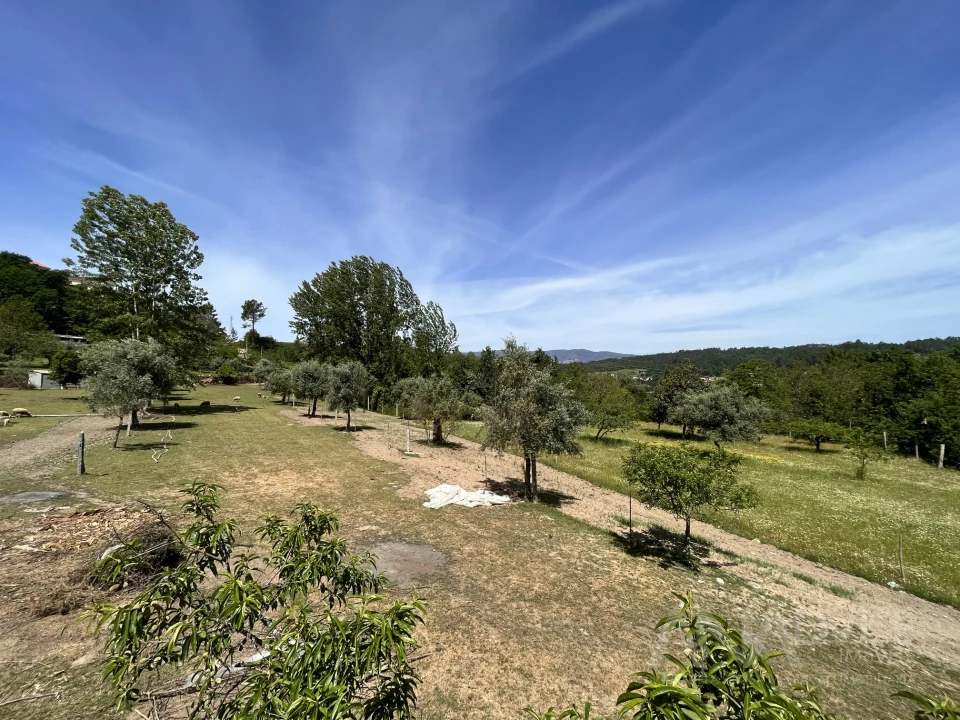 Quinta T0 para Venda em São Miguel do Mato Foto 9