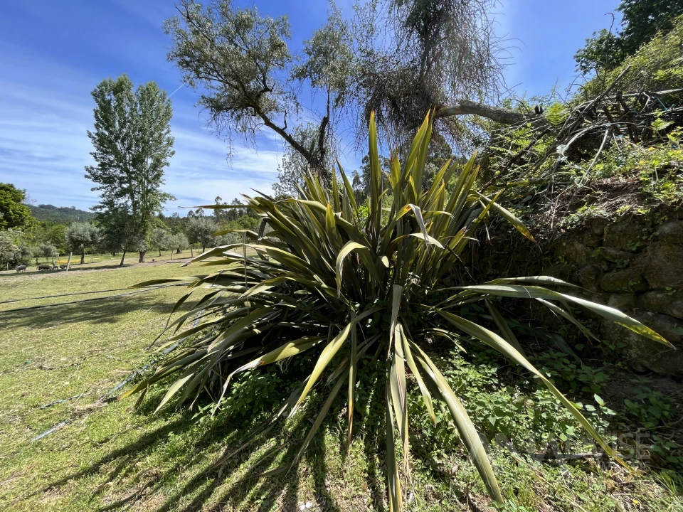 Quinta T0 para Venda em São Miguel do Mato Foto 25