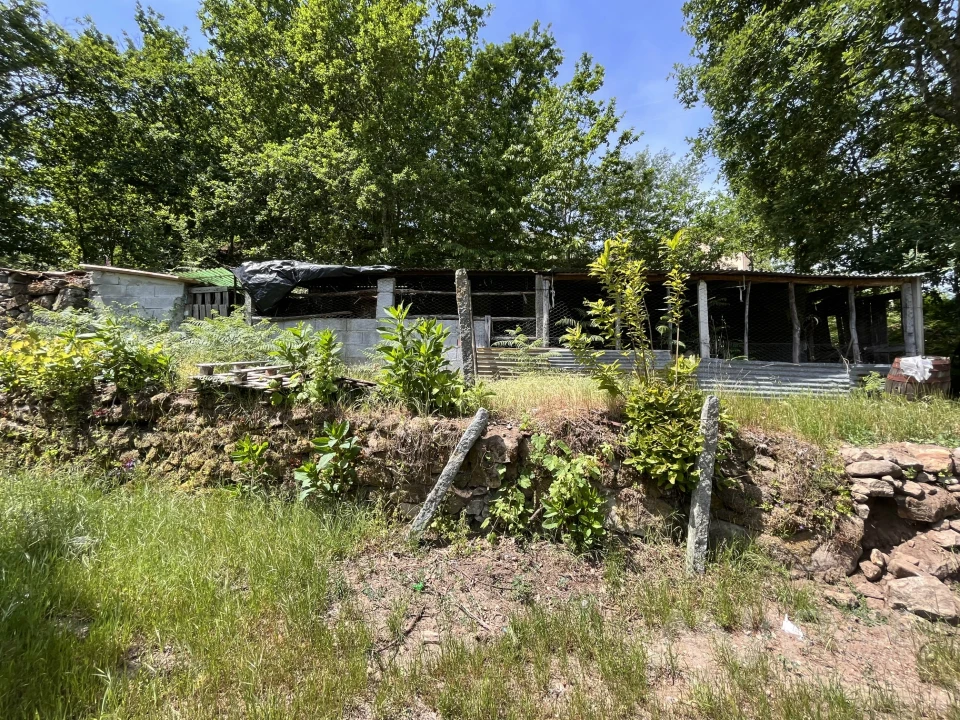 Quinta T0 para Venda em São Miguel do Mato Foto 37