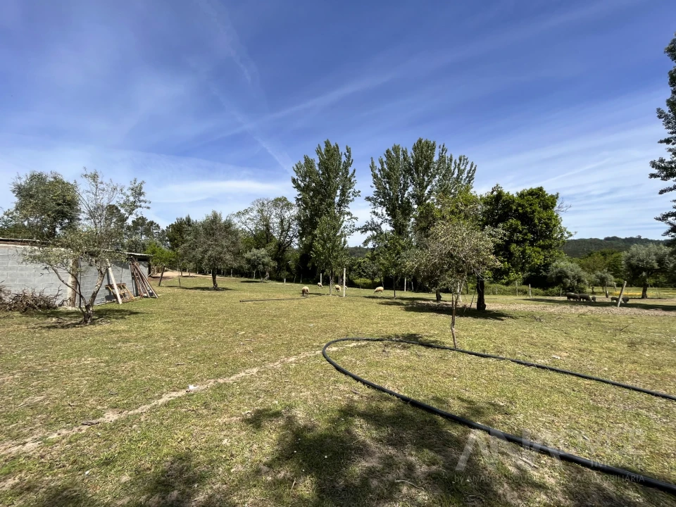 Quinta T0 para Venda em São Miguel do Mato Foto 23