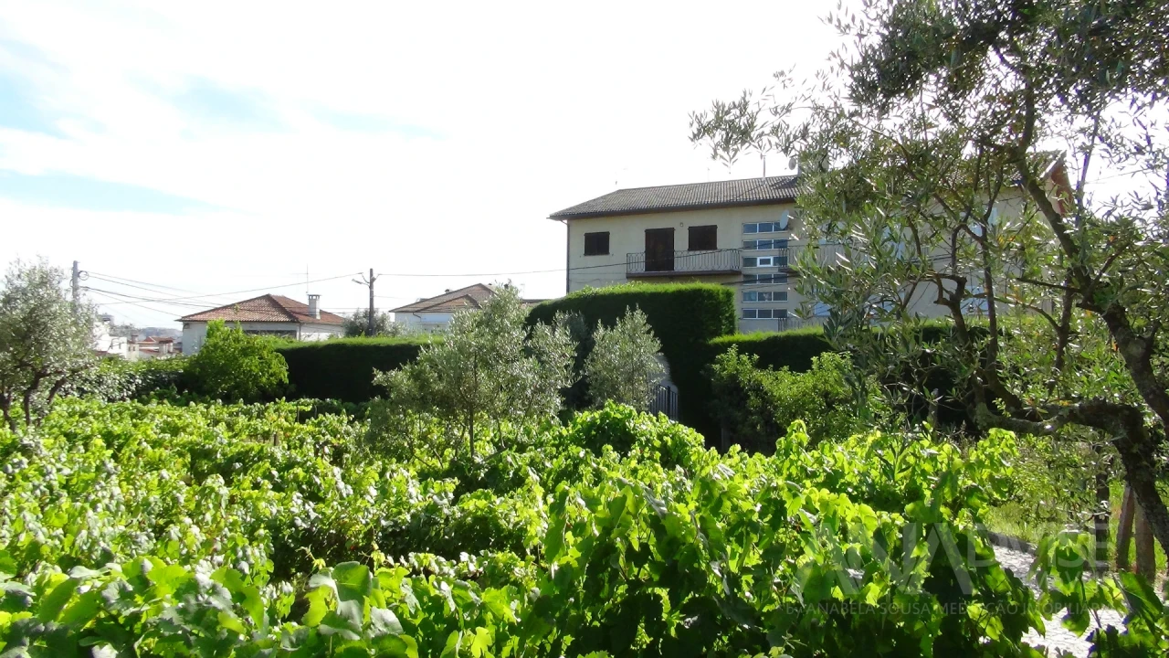 Moradia T3 para Venda em Viseu Foto 55