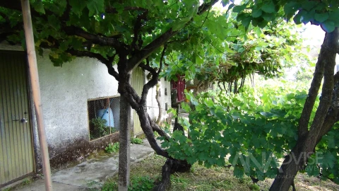 Moradia T3 para Venda em Viseu