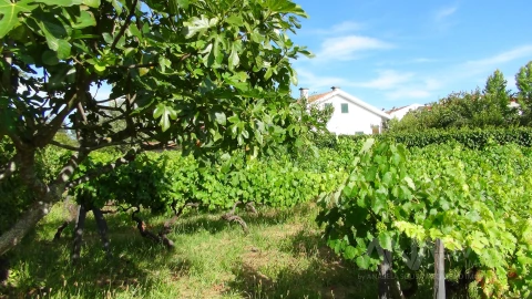 Moradia T3 para Venda em Viseu