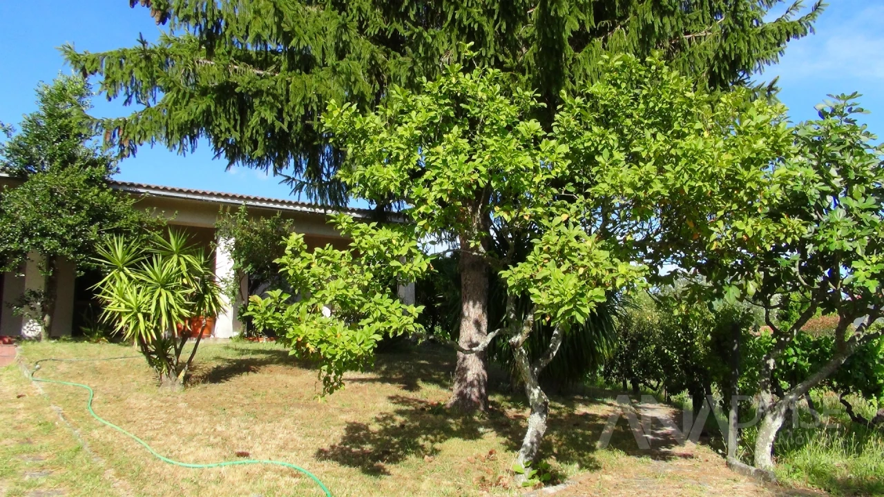 Moradia T3 para Venda em Viseu Foto 60