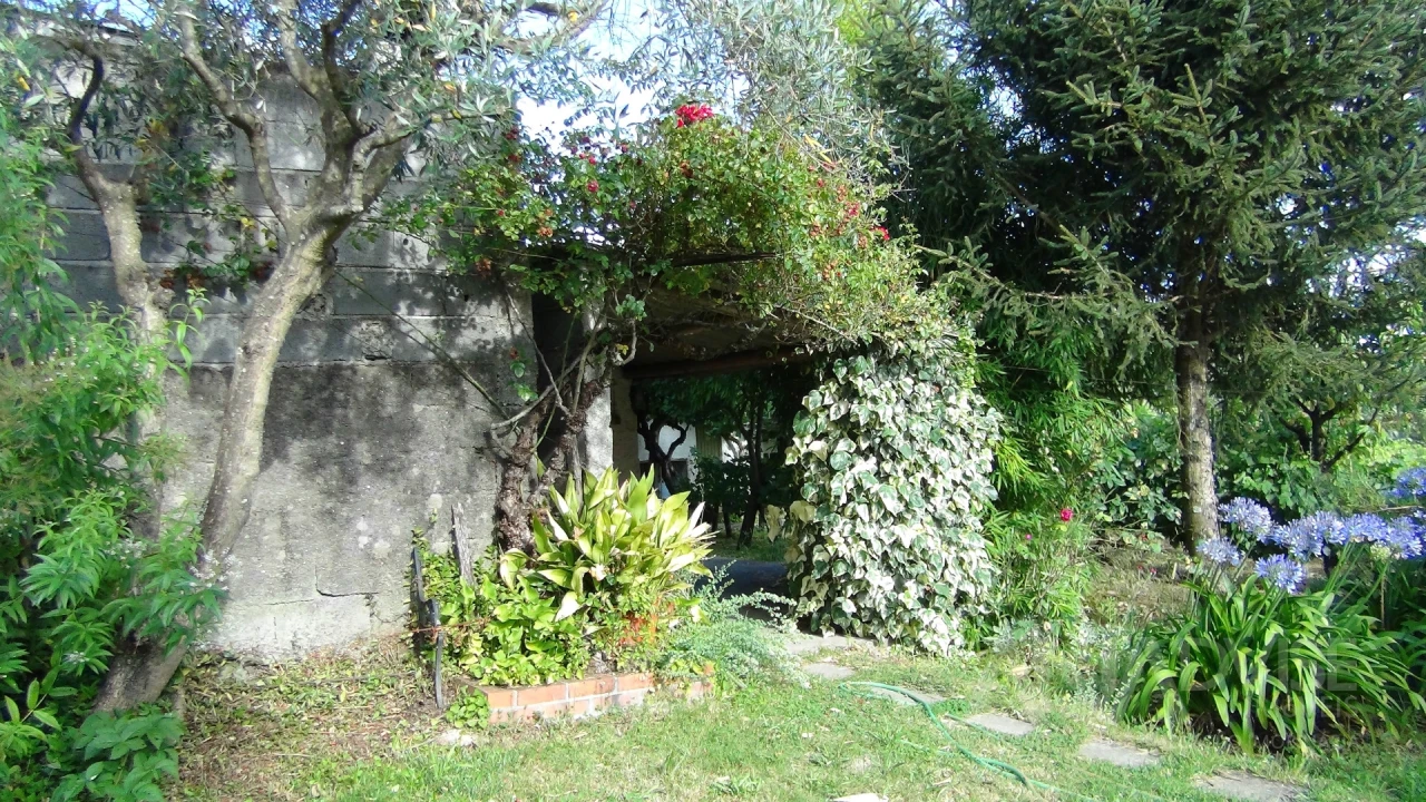 Moradia T3 para Venda em Viseu Foto 64