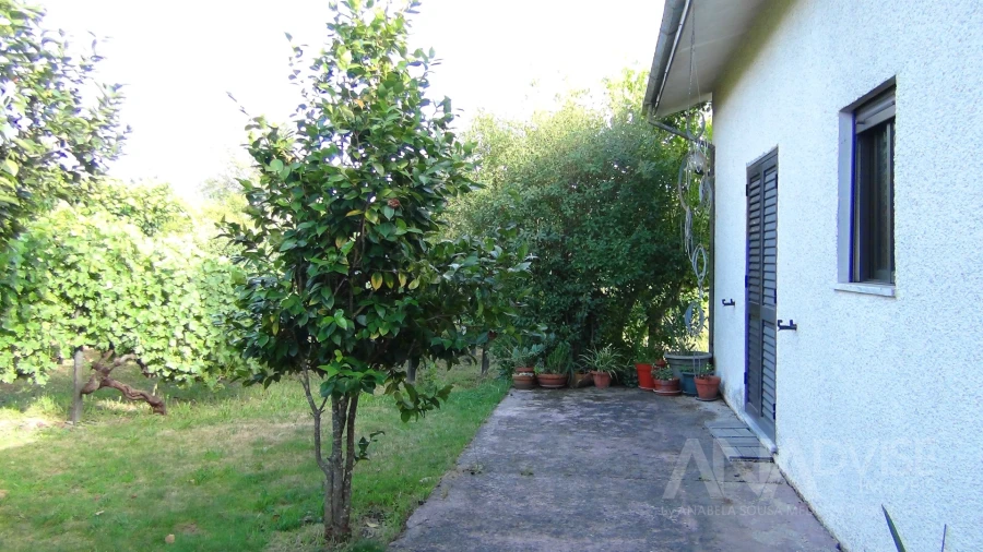 Moradia T3 para Venda em Viseu Foto 45
