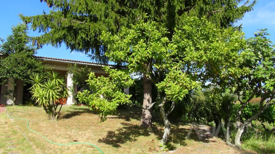Moradia T3 para Venda em Viseu Foto 60