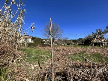 Terreno para Venda em Rio de Loba