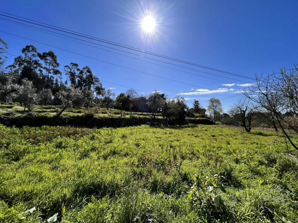 Terreno para Venda em Rio de Loba Foto 1