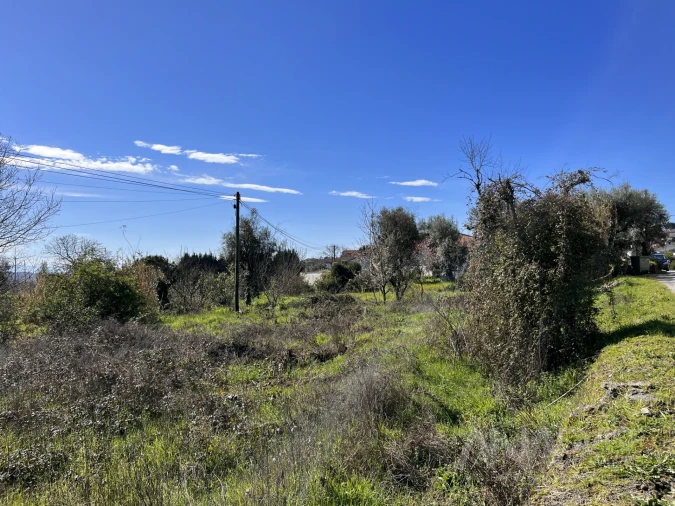 Terreno para Venda em Rio de Loba Foto 6