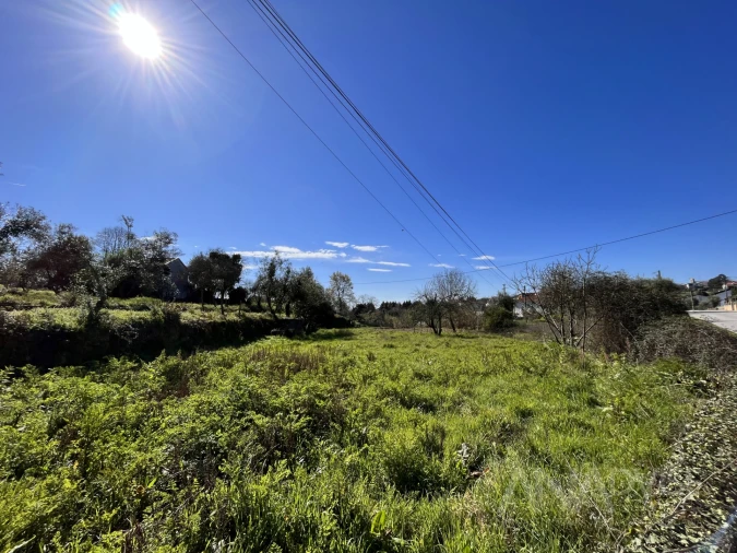 Terreno para Venda em Rio de Loba Foto 3