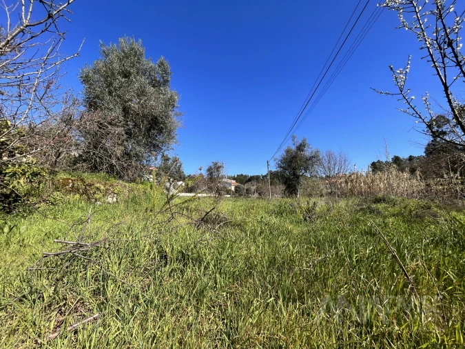 Terreno para Venda em Rio de Loba Foto 7