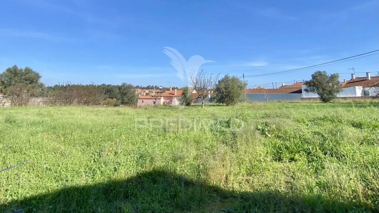 Terreno para Venda em Asseiceira Foto 3