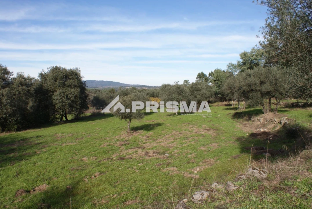 Terreno para Venda em Penamacor Foto 17