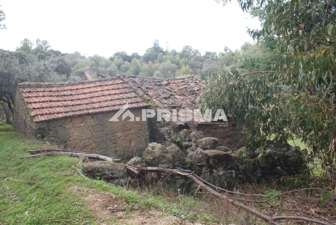 Terreno para Venda em Penamacor Foto 2