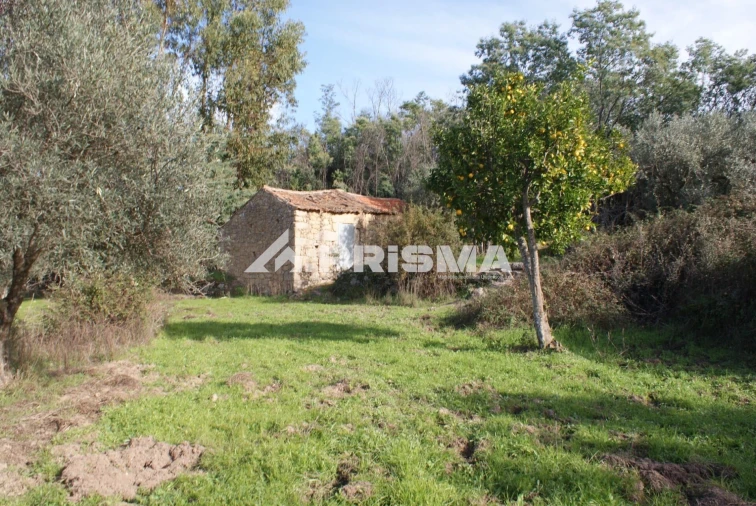 Terreno para Venda em Penamacor Foto 16