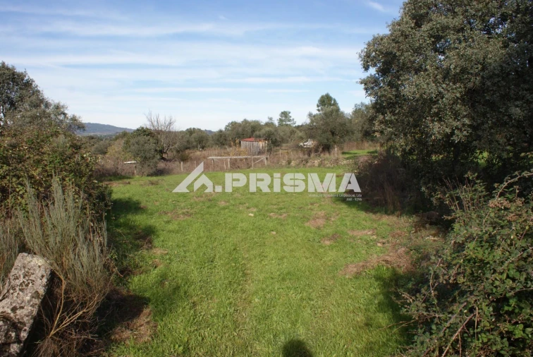 Terreno para Venda em Penamacor Foto 12